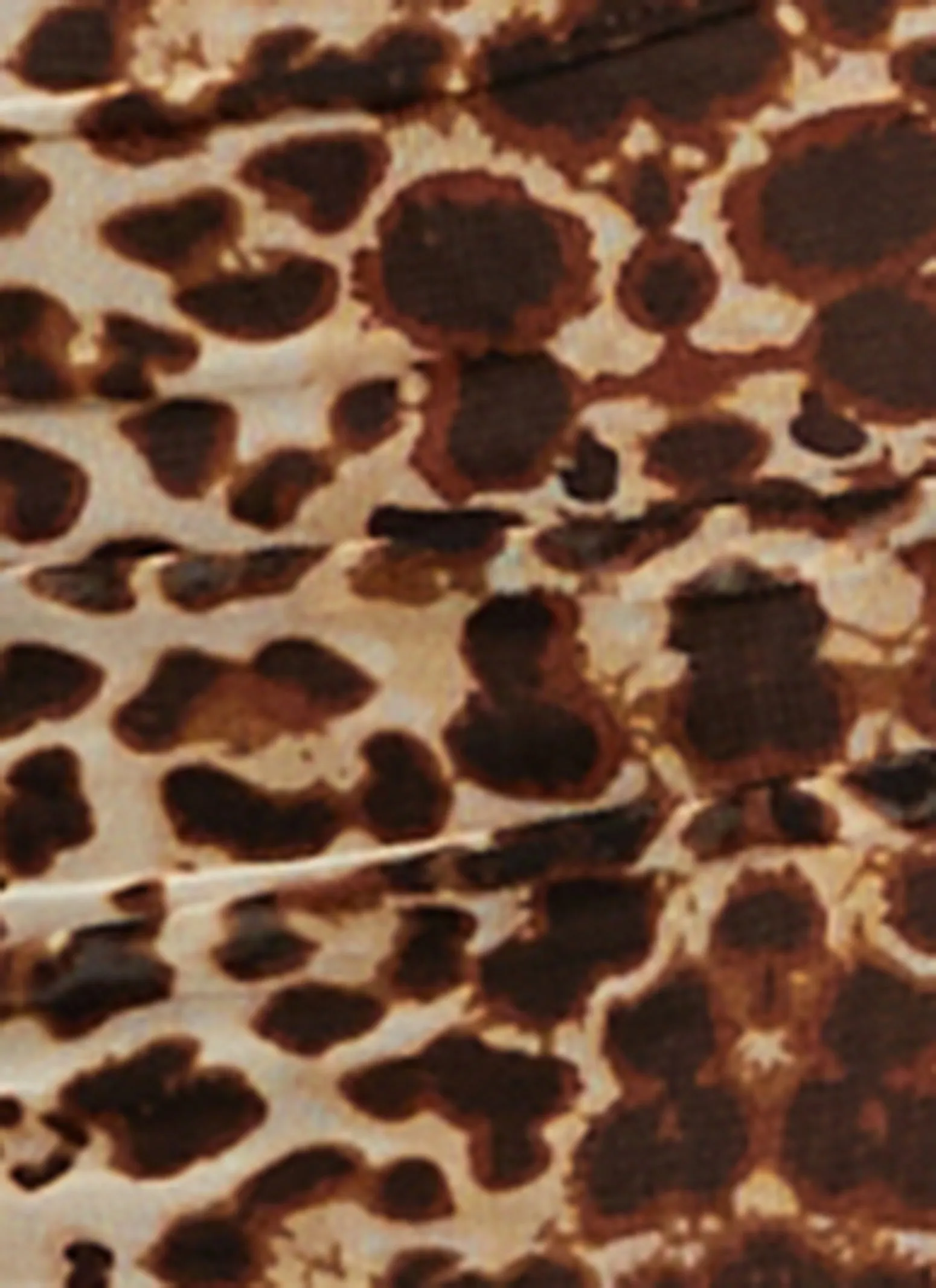 Animal Print Mesh Bodycon Dress