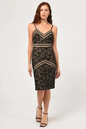 Trixxi Lace Dress